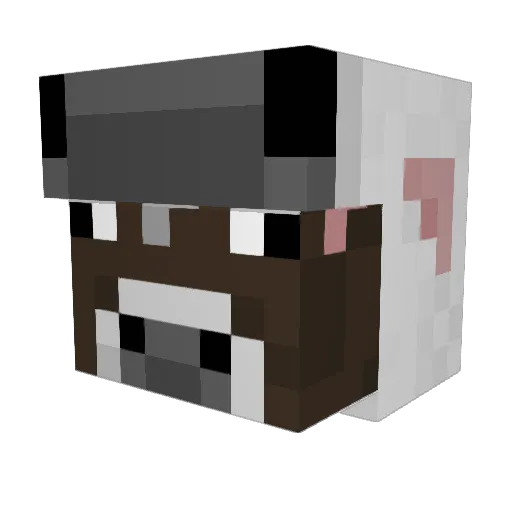 _C0W Minecraft avatar head, 3D render
