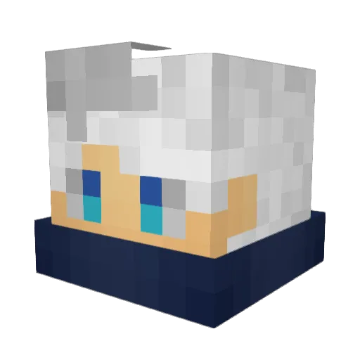 _C0caineV16 Minecraft avatar head, 3D render