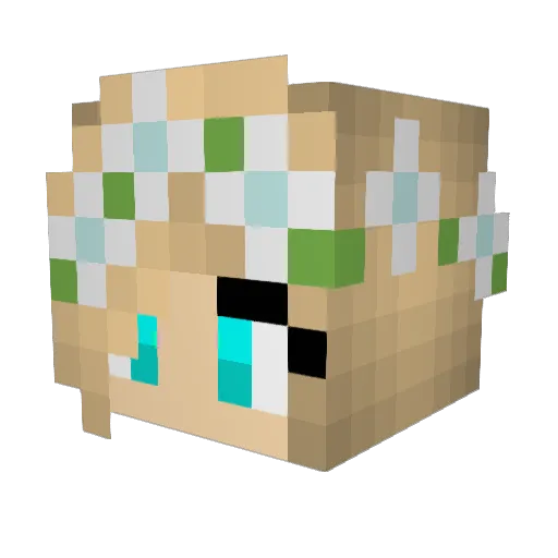 _C0l0_ Minecraft avatar head, 3D render