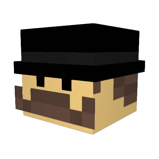 _CAPTAIN_TY_ Minecraft avatar head, 3D render