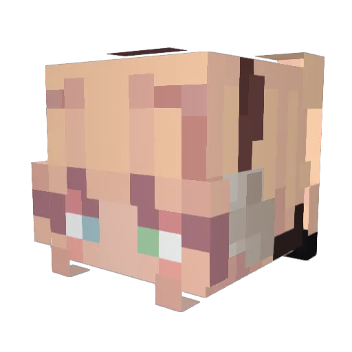 _CHRISSYWAKEUP_ Minecraft avatar head, 3D render
