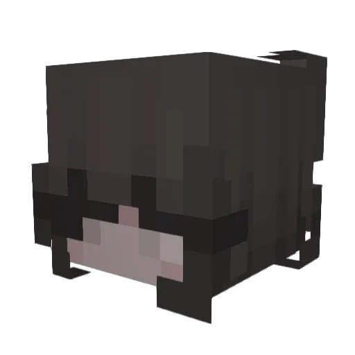 _CLEMON_ Minecraft avatar head, 3D render