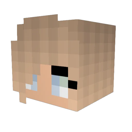 _Cam_ Minecraft avatar head, 3D render