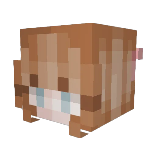 _CandiCat Minecraft avatar head, 3D render