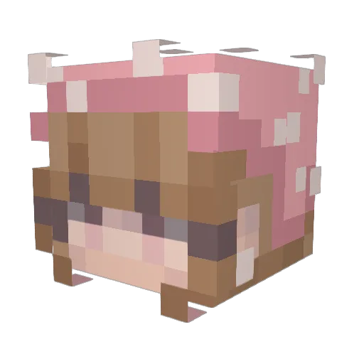 _Candii_ Minecraft avatar head, 3D render