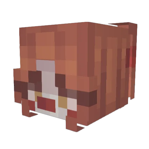 _Cannie_ Minecraft avatar head, 3D render
