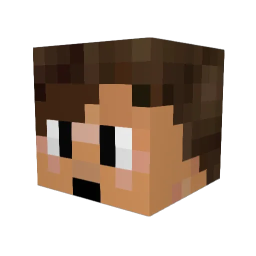 _CapitanDaryl_ Minecraft avatar head, 3D render