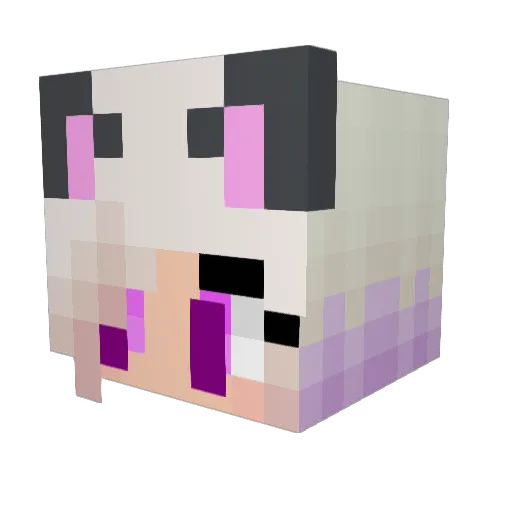 _Cappu_ Minecraft avatar head, 3D render