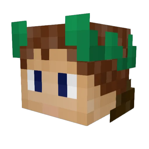 _CaptainAdam_ Minecraft avatar head, 3D render