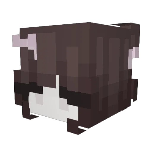 _Caramelii Minecraft avatar head, 3D render