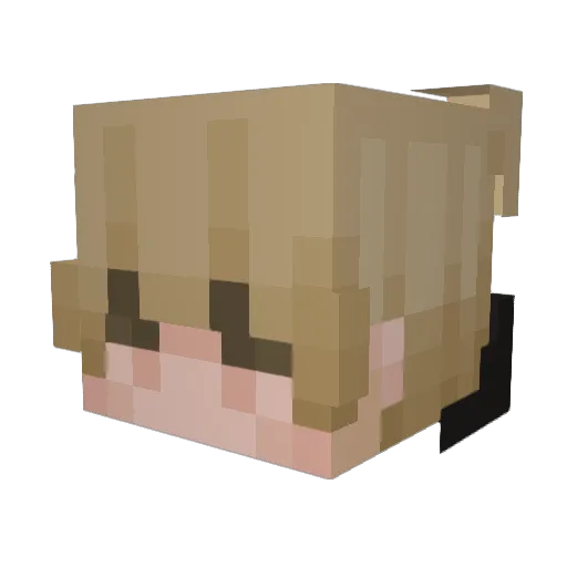 _Cass1us Minecraft avatar head, 3D render
