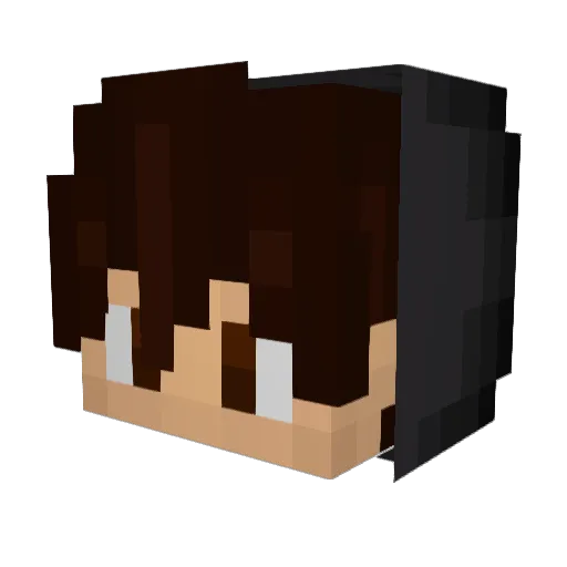 _Castrom_ Minecraft avatar head, 3D render