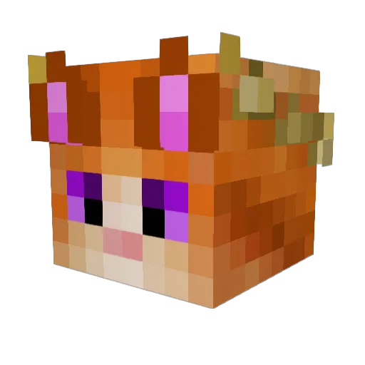 _Cat_4 Minecraft avatar head, 3D render
