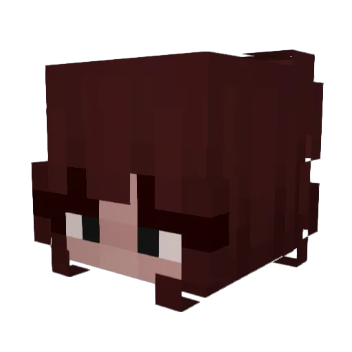 _Catalina_ Minecraft avatar head, 3D render