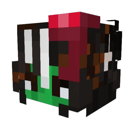 _Catn1p__ Minecraft avatar head, 3D render