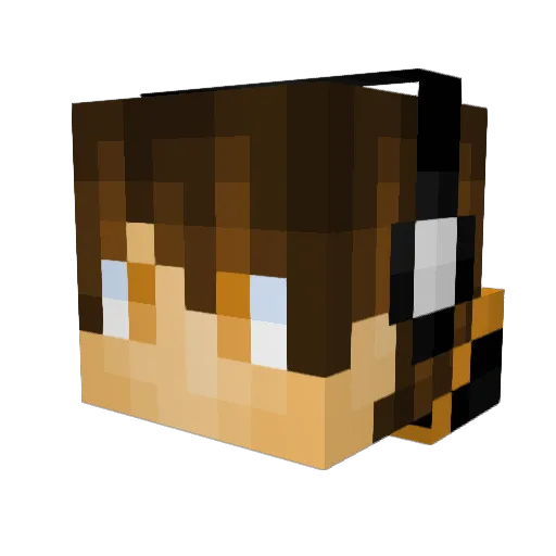 _Cats4Life_ Minecraft avatar head, 3D render