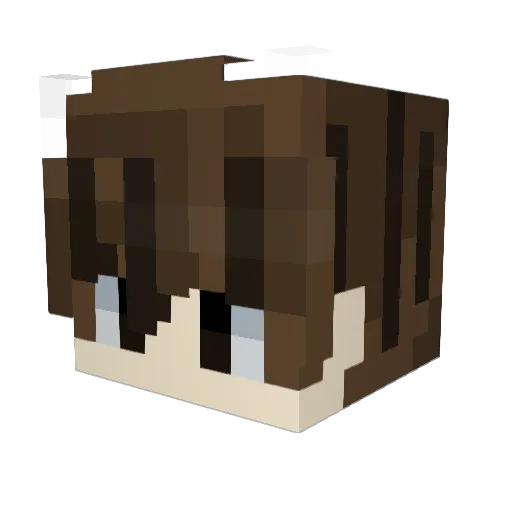 _Cavaleiro_ Minecraft avatar head, 3D render