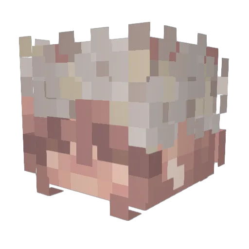 _Cerenity_ Minecraft avatar head, 3D render
