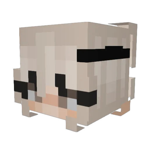 _Cewai_ Minecraft avatar head, 3D render