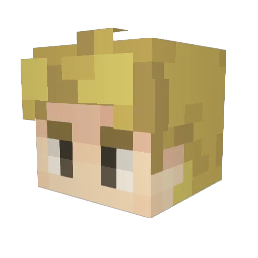 _Chace_ Minecraft avatar head, 3D render