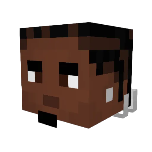 _Charva Minecraft avatar head, 3D render