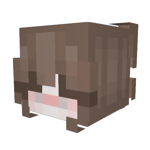 _Cheriee_ Minecraft avatar head, 3D render