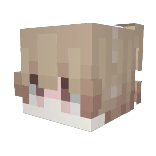 _Chillie_ Minecraft avatar head, 3D render