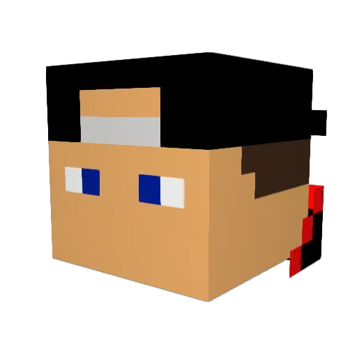 _Chillnatman_ Minecraft avatar head, 3D render