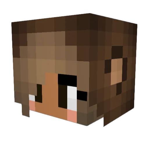 _Chris05 Minecraft avatar head, 3D render