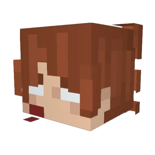 _ChrisChan Minecraft avatar head, 3D render