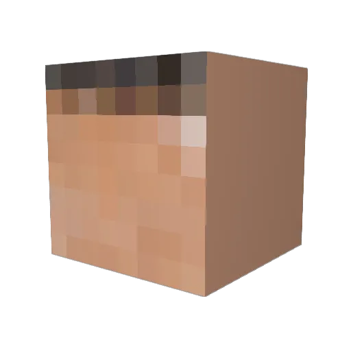 _Chris_Peacock_ Minecraft avatar head, 3D render