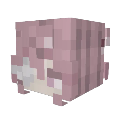 _Cinnam0r0ll_ Minecraft avatar head, 3D render