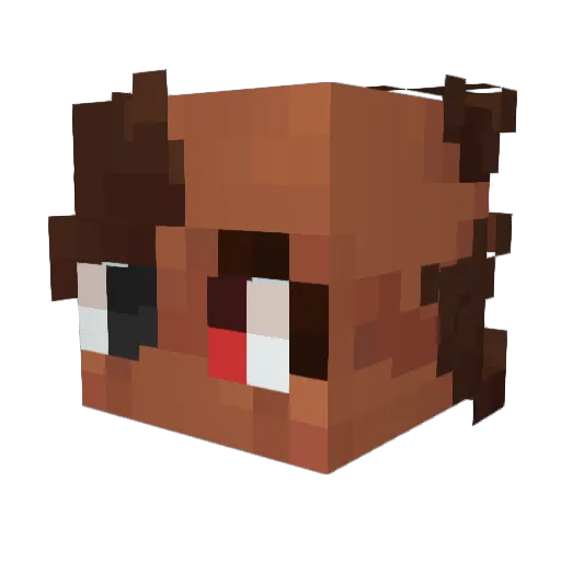 _Clandestiny Minecraft avatar head, 3D render