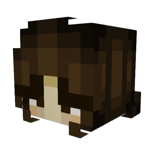 _Claudy Minecraft avatar head, 3D render