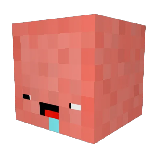 _CleanNutte_ Minecraft avatar head, 3D render