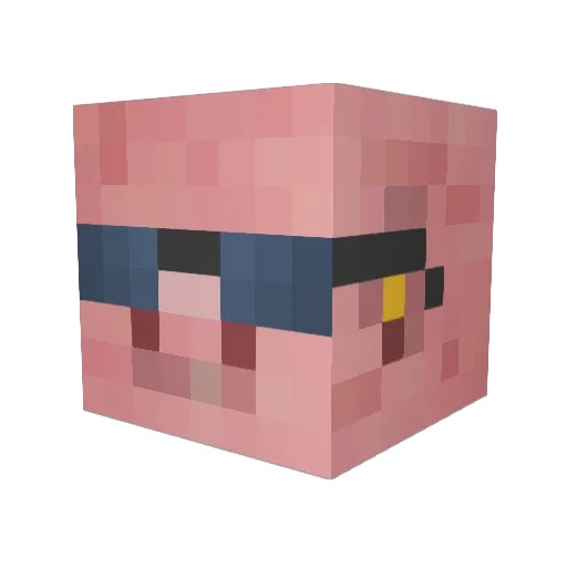 _Coadster_ Minecraft avatar head, 3D render