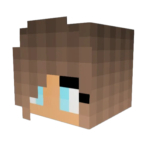 _Come_At_Me_Bro_ Minecraft avatar head, 3D render