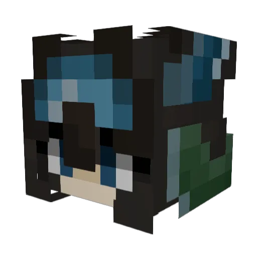 _Conifer Minecraft avatar head, 3D render