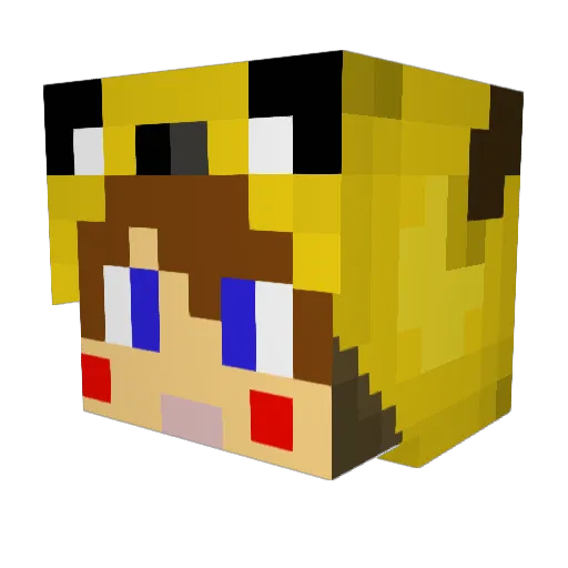 _Conner_ Minecraft avatar head, 3D render