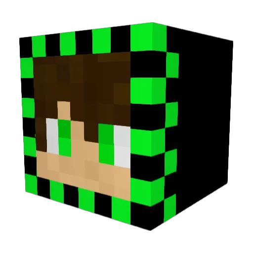 _CoolBoy69_ Minecraft avatar head, 3D render