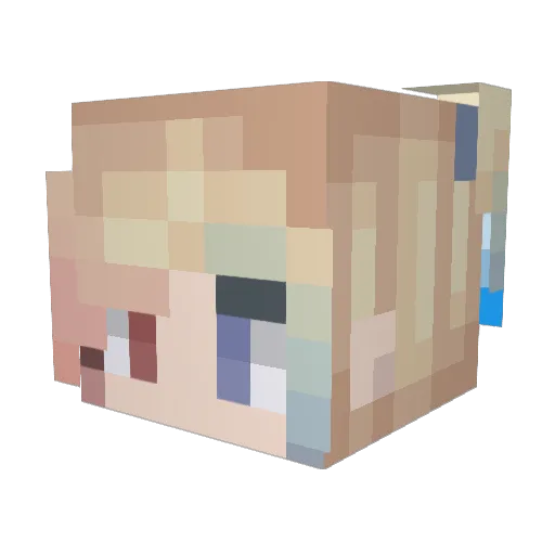 _Cool_Cat_ Minecraft avatar head, 3D render