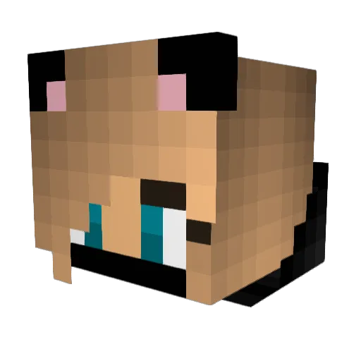_CoolgY_ Minecraft avatar head, 3D render