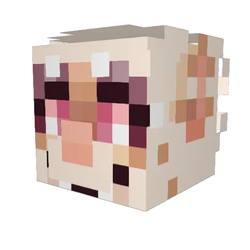 _CosmicShroomie_ Minecraft avatar head, 3D render