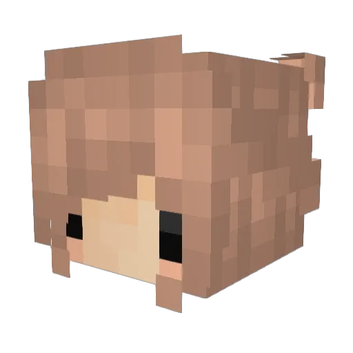 _CourtKnee_ Minecraft avatar head, 3D render
