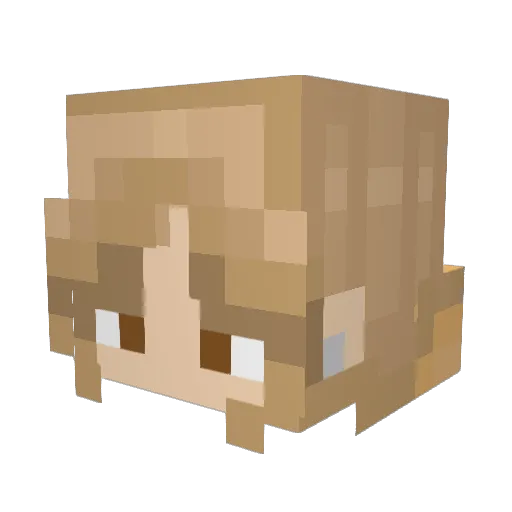 _Cowboys14_ Minecraft avatar head, 3D render