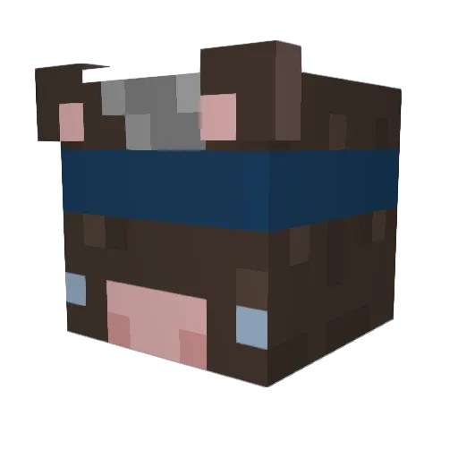 _Cowtails_ Minecraft avatar head, 3D render