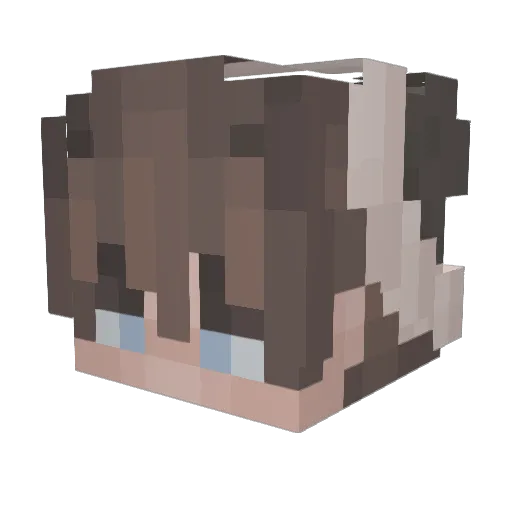 _Cozmo Minecraft avatar head, 3D render