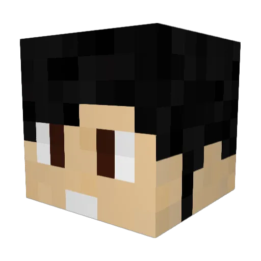 _CrNi_ Minecraft avatar head, 3D render