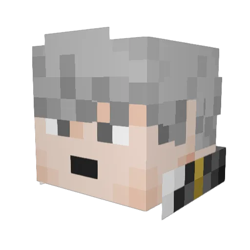 _CrashMan_ Minecraft avatar head, 3D render