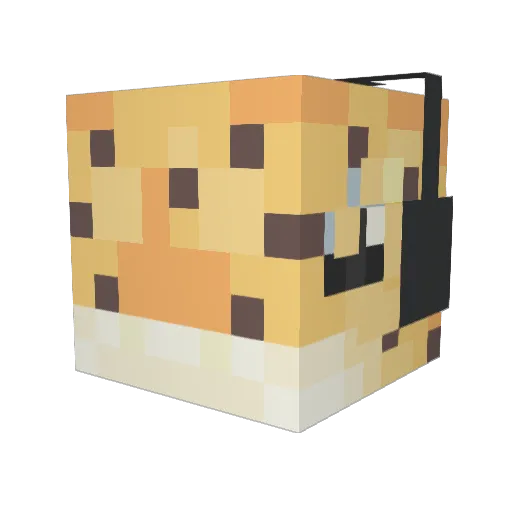 _CrazyGeckoGirl_ Minecraft avatar head, 3D render